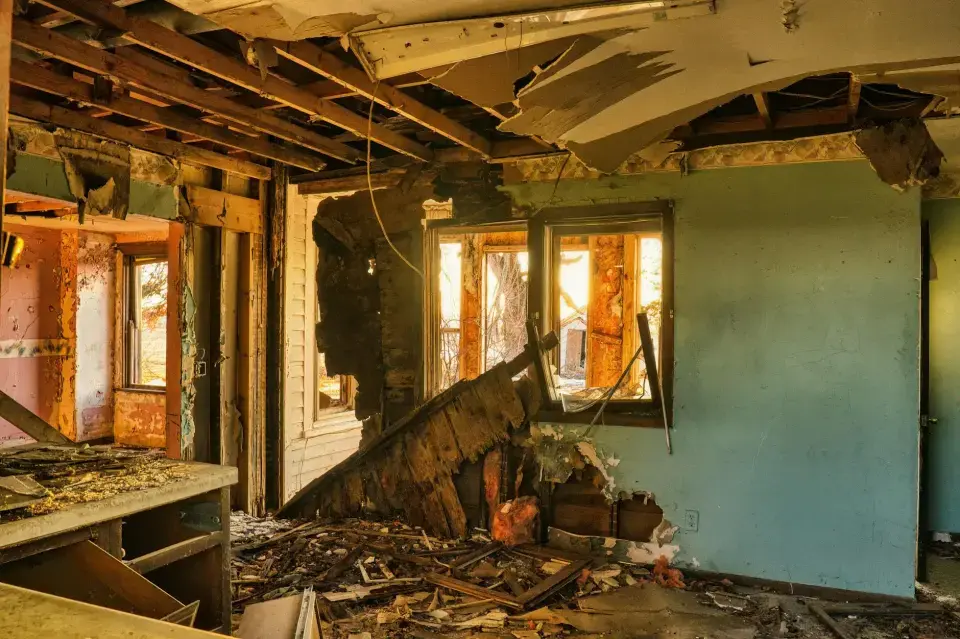 Ventura’s Trusted Mold Removal & Remediation Specialists — Ventura, CA
